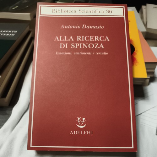 Auf der suche nach spinoza - suche,