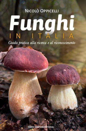 Pilze italien praktischer - pilze, in